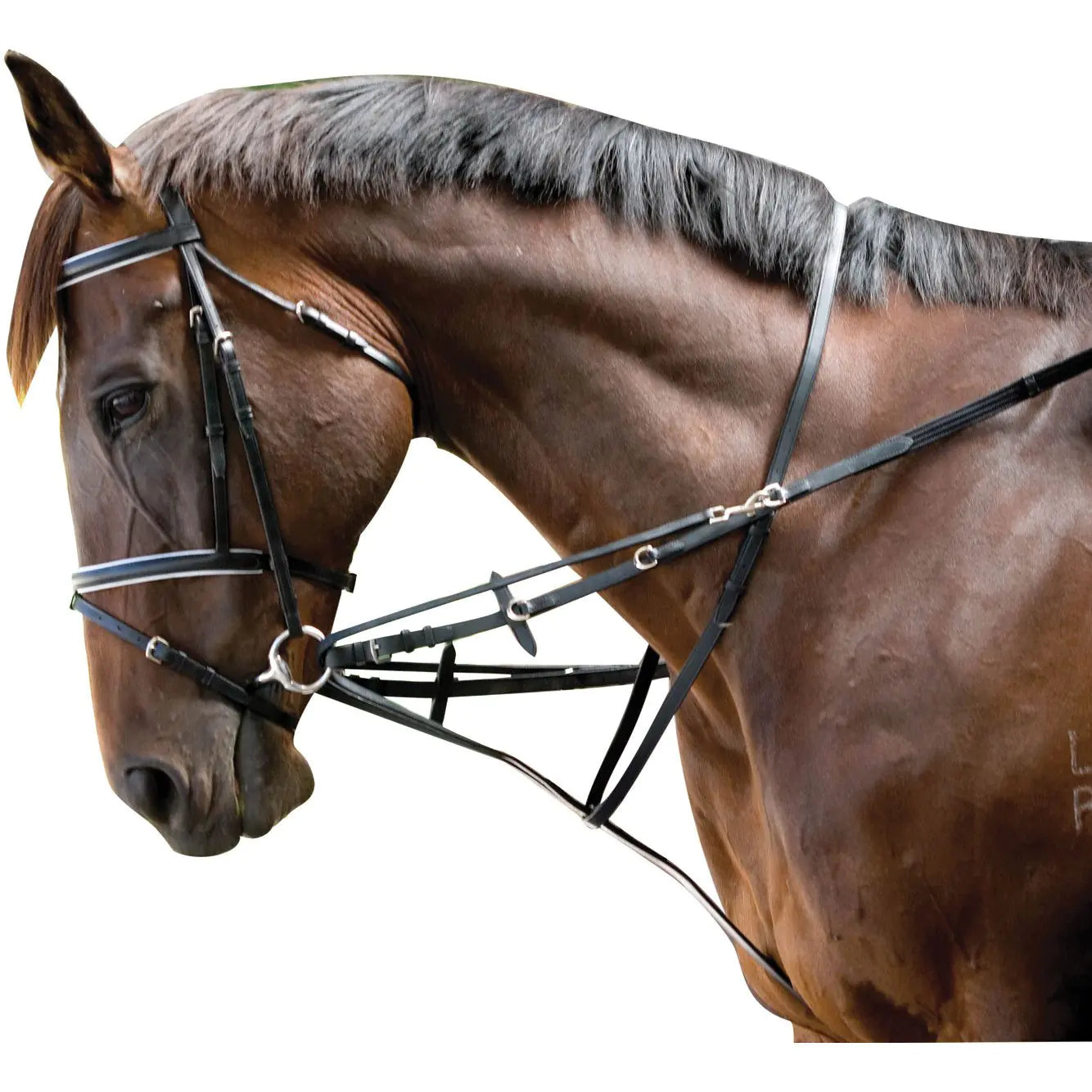 Kincade Web Market Harborough/German Martingale Black Full